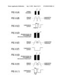 IMAGE FORMING APPARATUS diagram and image