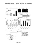 COMPOSITIONS AND METHODS FOR THE INHIBITION OF CRIPTO / GRP78 COMPLEX FORMATION AND SIGNALING diagram and image