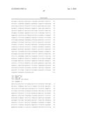 Genes involved in the regulation of angiogenesis, pharmaceutical preparations containing them an uses thereof diagram and image