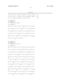 Genes involved in the regulation of angiogenesis, pharmaceutical preparations containing them an uses thereof diagram and image