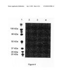 COMPOSITIONS FOR ANTI-FIBRINOLYTIC TREATMENT diagram and image