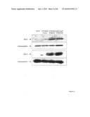 Prolongation of Survival of an Allograft by Inhibiting Complement Activity diagram and image