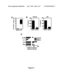 COMBINATION THERAPY FOR TREATMENT OF IMMUNE DISORDERS diagram and image