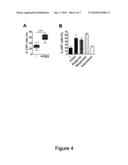 COMBINATION THERAPY FOR TREATMENT OF IMMUNE DISORDERS diagram and image