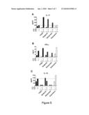 COMBINATION THERAPY FOR TREATMENT OF IMMUNE DISORDERS diagram and image