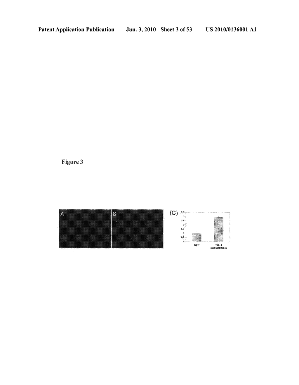 Methods and compositions for the treatment and diagnosis of vascular inflammatory disorders or endothelial cell disorders - diagram, schematic, and image 04