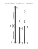 VARIANTS OF VEGFR AND THEIR USE IN THE DIAGNOSIS AND TREATMENT OF PREGNANCY ASSOCIATED MEDICAL CONDITIONS diagram and image