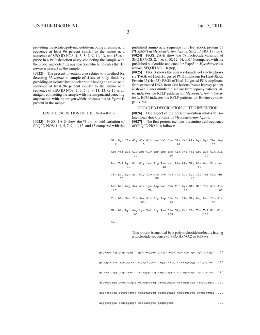 HEAT SHOCK PROTEINS FROM MYCOBACTERIUM LEPRAE AND USES THEREOF - diagram, schematic, and image 17