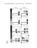 METHOD FOR MODULATING THE IMMUNE RESPONSE BY ACTIVATING OR INACTIVATING THE NOTCH AND/OR STAT4 SIGNAL PATH diagram and image