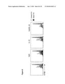 METHOD FOR MODULATING THE IMMUNE RESPONSE BY ACTIVATING OR INACTIVATING THE NOTCH AND/OR STAT4 SIGNAL PATH diagram and image