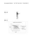 COMBINATION GAS VACCINES AND THERAPEUTICS diagram and image