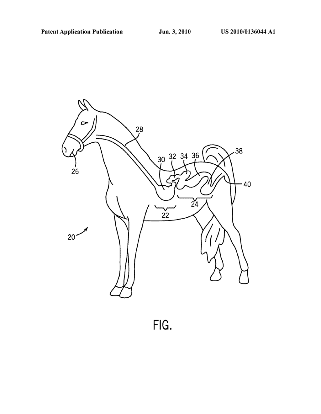 Dietary Supplement and Method - diagram, schematic, and image 02