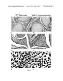 Composition for Promoting Cartilage Formation or Repair Comprising a NELL Gene Product and Method of Treating Cartilage-Related Conditions Using Such Composition diagram and image