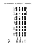 CANCER MARKER AND THERAPEUTIC AGENT FOR CANCER diagram and image