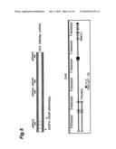 CANCER MARKER AND THERAPEUTIC AGENT FOR CANCER diagram and image