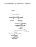 PROTEIN CONCENTRATES AND ISOLATES, AND PROCESSES FOR THE PRODUCTION THEREOF diagram and image