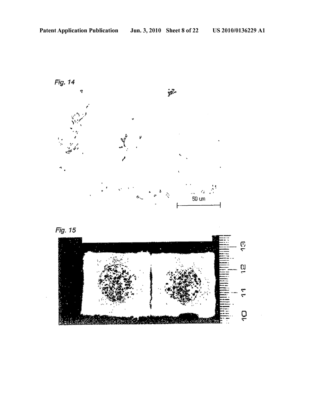 WARM SPRAY COATING METHOD AND PARTICLES USED THEREFOR - diagram, schematic, and image 09