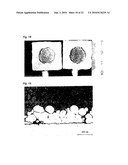 WARM SPRAY COATING METHOD AND PARTICLES USED THEREFOR diagram and image