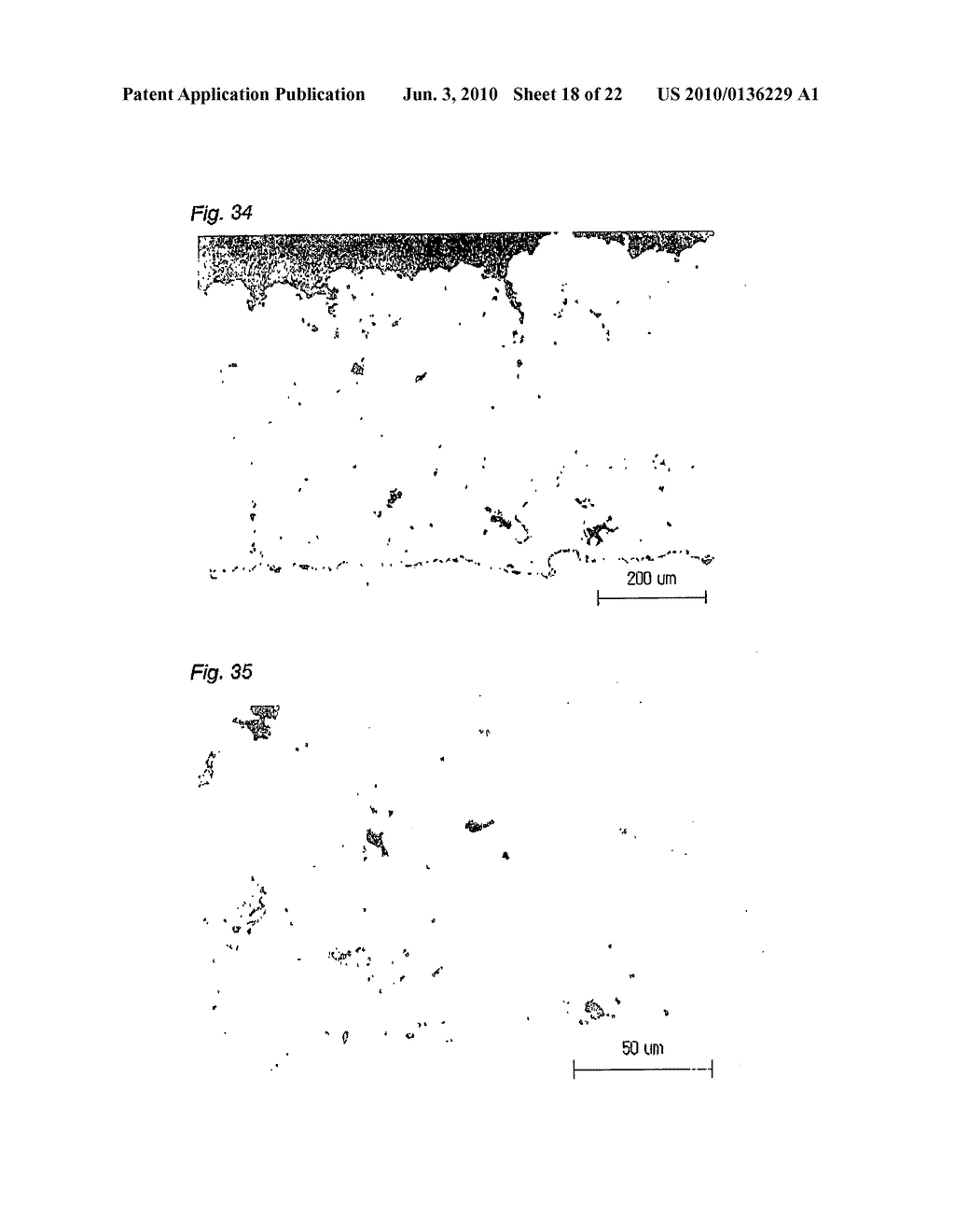 WARM SPRAY COATING METHOD AND PARTICLES USED THEREFOR - diagram, schematic, and image 19