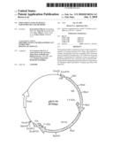 INFECTIOUS CLONE OF HUMAN PARVOVIRUS B19 AND METHODS diagram and image