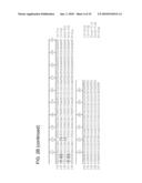 INFECTIOUS CLONE OF HUMAN PARVOVIRUS B19 AND METHODS diagram and image