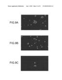 INFECTIOUS CLONE OF HUMAN PARVOVIRUS B19 AND METHODS diagram and image