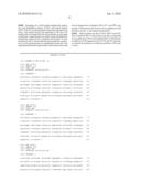 INFECTIOUS CLONE OF HUMAN PARVOVIRUS B19 AND METHODS diagram and image