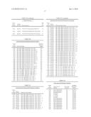 COMPOSITIONS FOR USE IN IDENTIFICATION OF PAPILLOMAVIRUS diagram and image