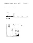 AQP5 Polymorphism diagram and image