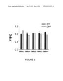 COMPOUND CONTAINING FARNESYL DIPHOSPHATE FOR MODULATING TRPV3 FUNCTION AND USE THEREOF diagram and image