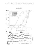 PHOTORECEPTOR PRECURSOR CELLS diagram and image