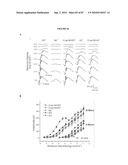 PHOTORECEPTOR PRECURSOR CELLS diagram and image