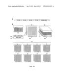 Methods and Compositions for Isolating Nucleic Acid Sequence Variants diagram and image