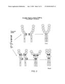 METHOD FOR THE HIGH LEVEL EXPRESSION OF ACTIVE LYMPHOTOXIN-BETA RECEPTOR IMMUNOGLOBULIN CHIMERIC PROTEINS AND THEIR PURIFICATION diagram and image