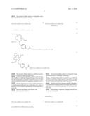 Production and Use of Novel Peptide-Based Agents for Use with Bi-Specific Antibodies diagram and image
