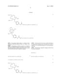 Production and Use of Novel Peptide-Based Agents for Use with Bi-Specific Antibodies diagram and image