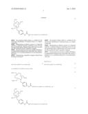 Production and Use of Novel Peptide-Based Agents for Use with Bi-Specific Antibodies diagram and image