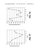 DETECTION, ISOLATION AND USES OF RENALASE (MONOAMINE OXIDASE C) diagram and image