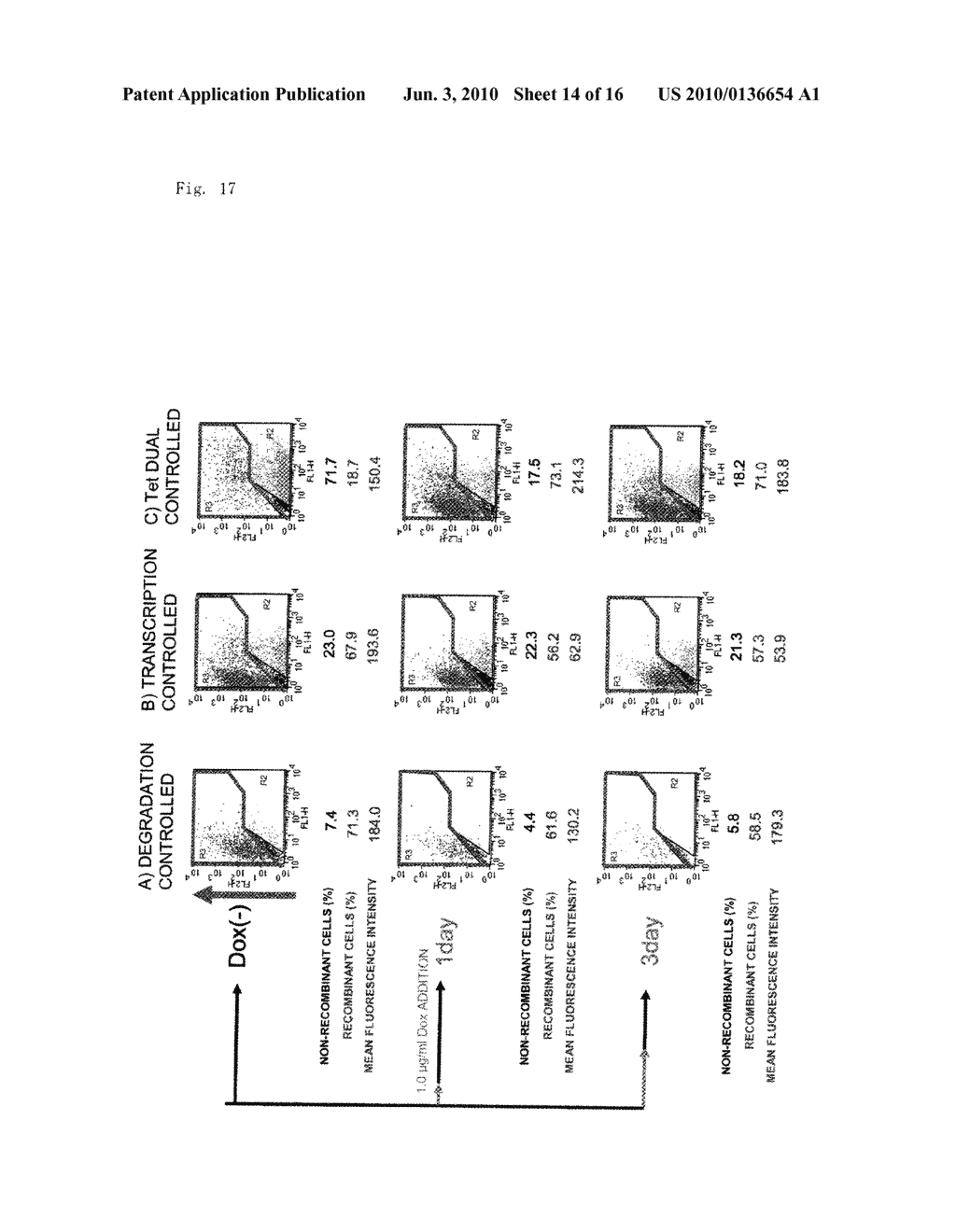 METHOD FOR TRANSCRIPTION-DEGRADATION DUAL REGULATION FOR PROTEIN BY ANTIBIOTIC - diagram, schematic, and image 15