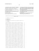 Infectious cDNA Clone of North American Porcine Reproductive and Respiratory Syndrome (PPRS) Virus and Uses Thereof diagram and image