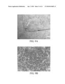 METHOD FOR TRANSFERRING CELLS TO CARRIERS AND APPLICATION THEREOF diagram and image