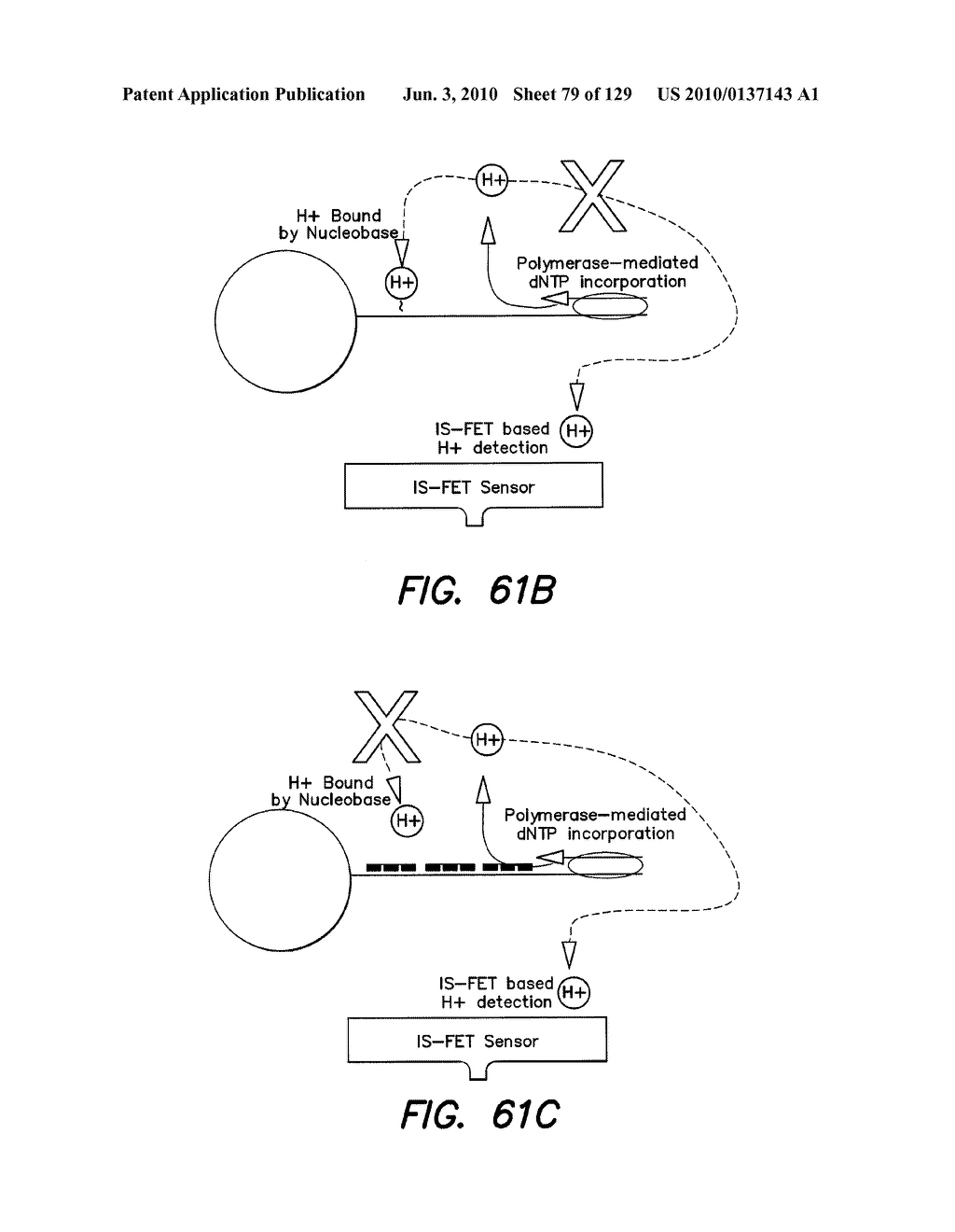 METHODS AND APPARATUS FOR MEASURING ANALYTES - diagram, schematic, and image 80