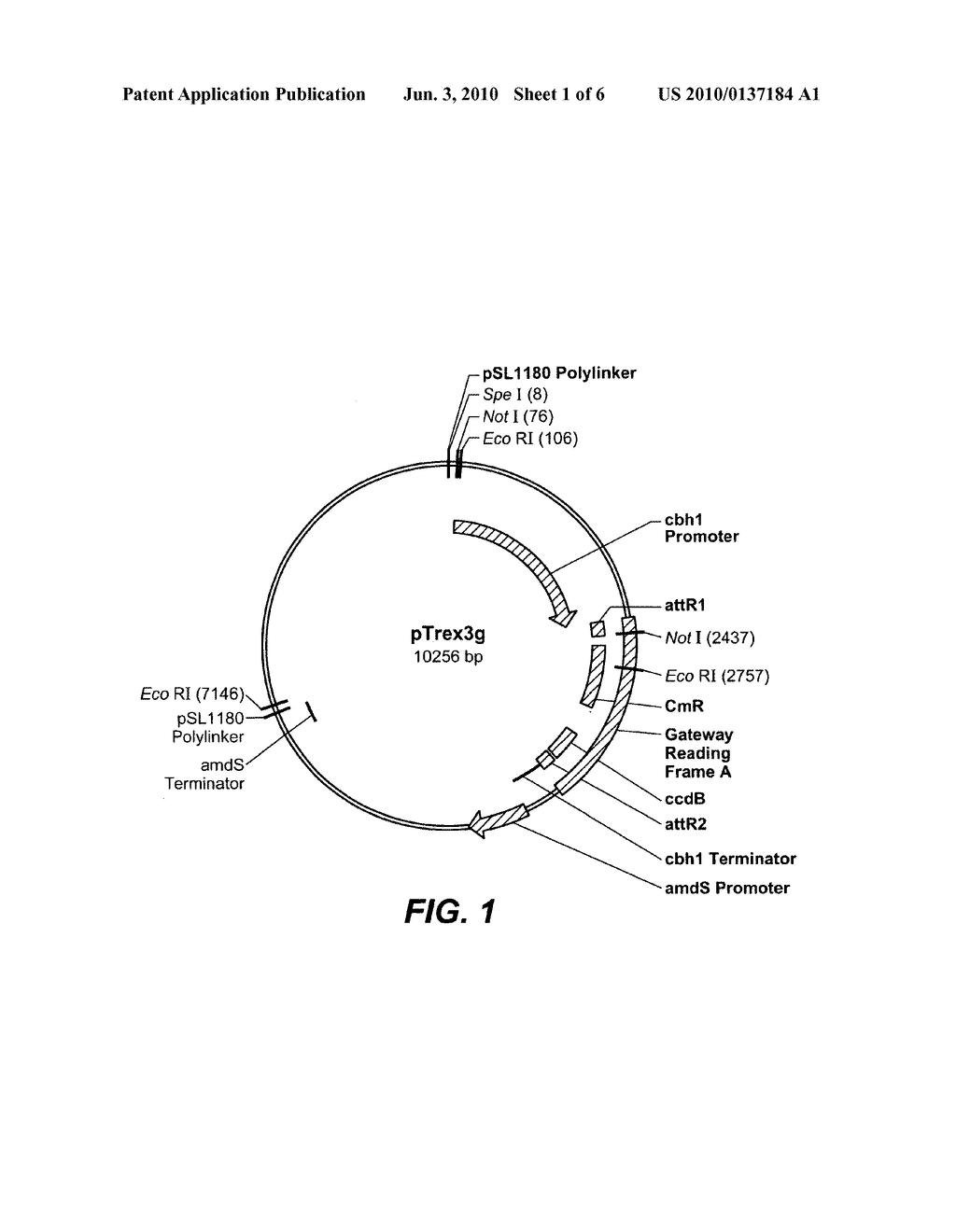 Cleaning Compositions Comprising Alpha-Galactosidase - diagram, schematic, and image 02