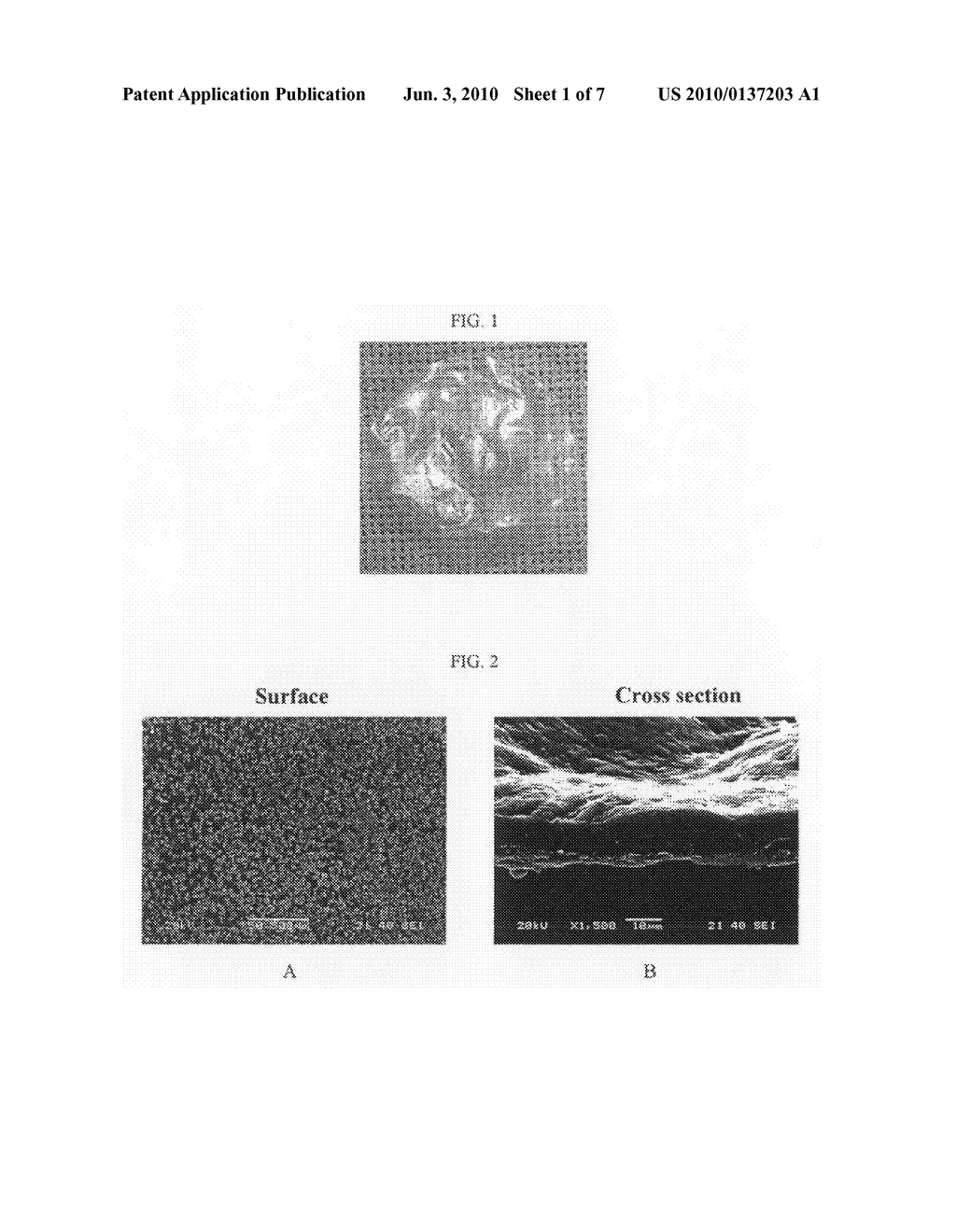 METHOD FOR PREPARING A CELL-DERIVED EXTRACELLULAR MATRIX MEMBRANE - diagram, schematic, and image 02