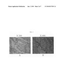 METHOD FOR PREPARING A CELL-DERIVED EXTRACELLULAR MATRIX MEMBRANE diagram and image