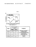 METHOD FOR PREPARING A CELL-DERIVED EXTRACELLULAR MATRIX MEMBRANE diagram and image