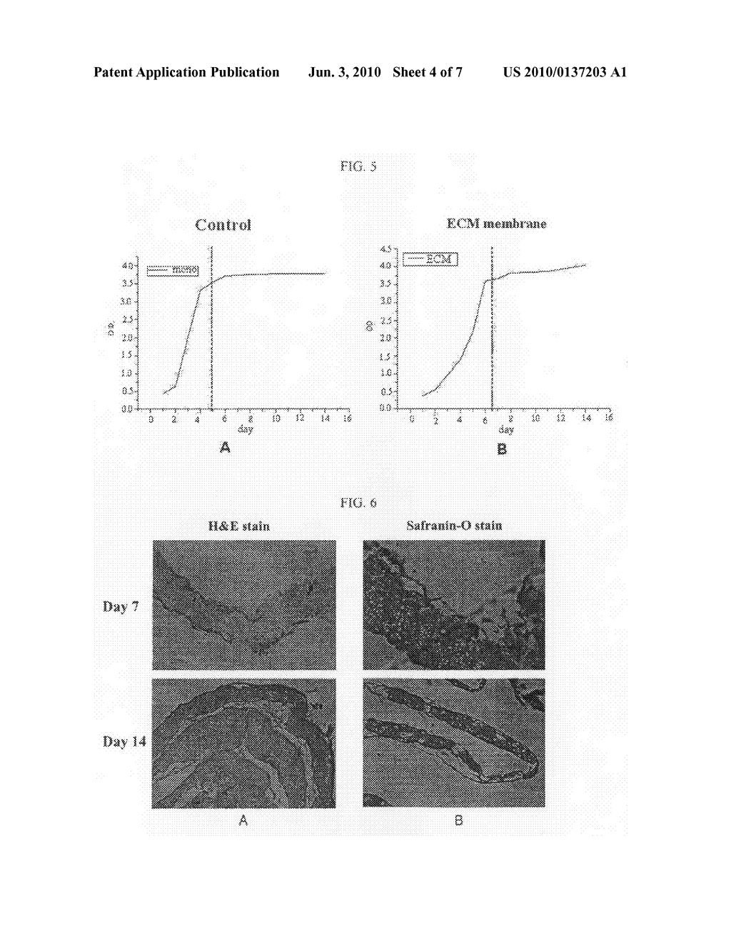 METHOD FOR PREPARING A CELL-DERIVED EXTRACELLULAR MATRIX MEMBRANE - diagram, schematic, and image 05
