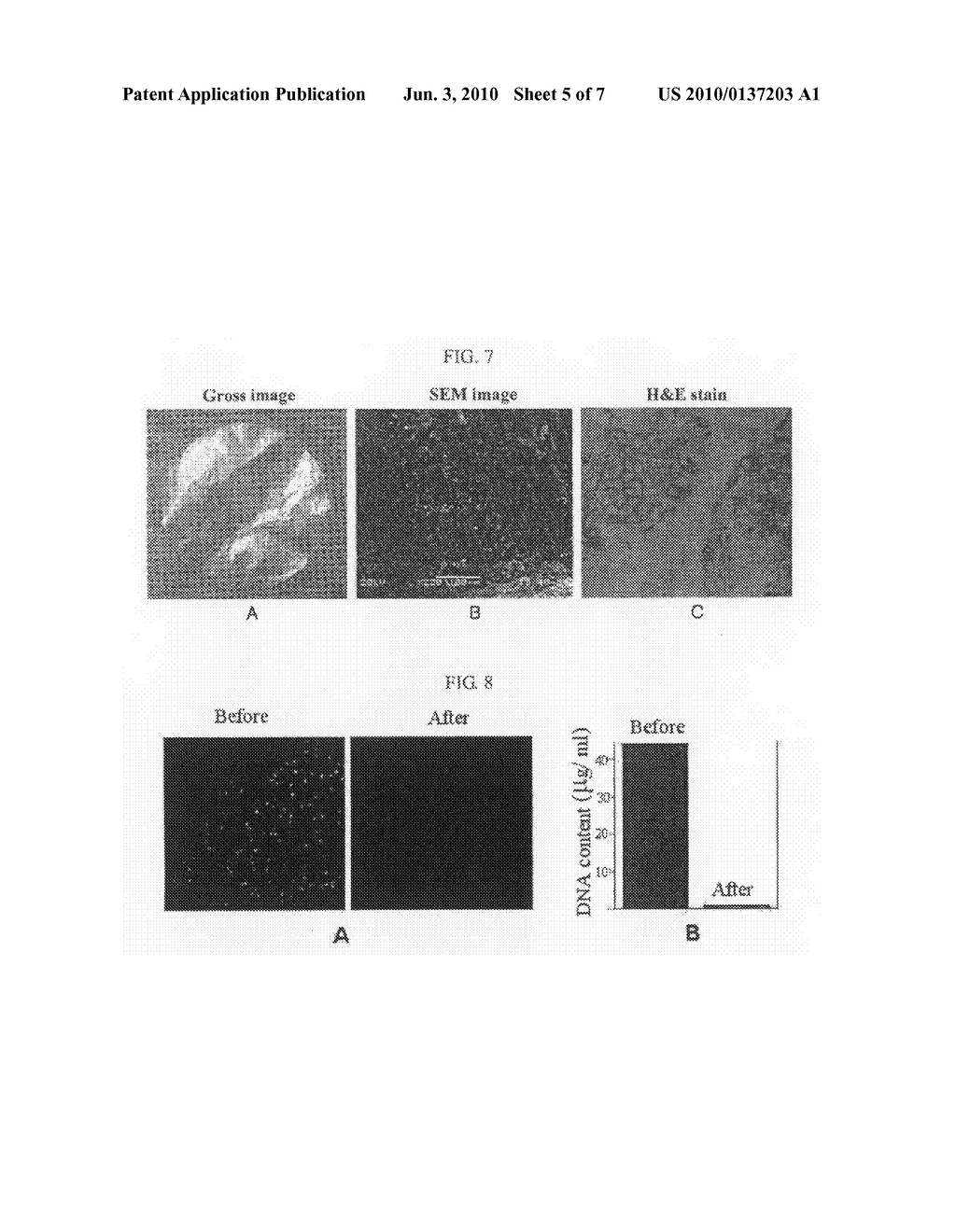 METHOD FOR PREPARING A CELL-DERIVED EXTRACELLULAR MATRIX MEMBRANE - diagram, schematic, and image 06