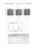 METHOD FOR PREPARING A CELL-DERIVED EXTRACELLULAR MATRIX MEMBRANE diagram and image