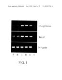 Use of FGF-18 Protein, Target Proteins and Their Respective Encoding Nucleotide Sequences to Induce Cartilage Formation diagram and image